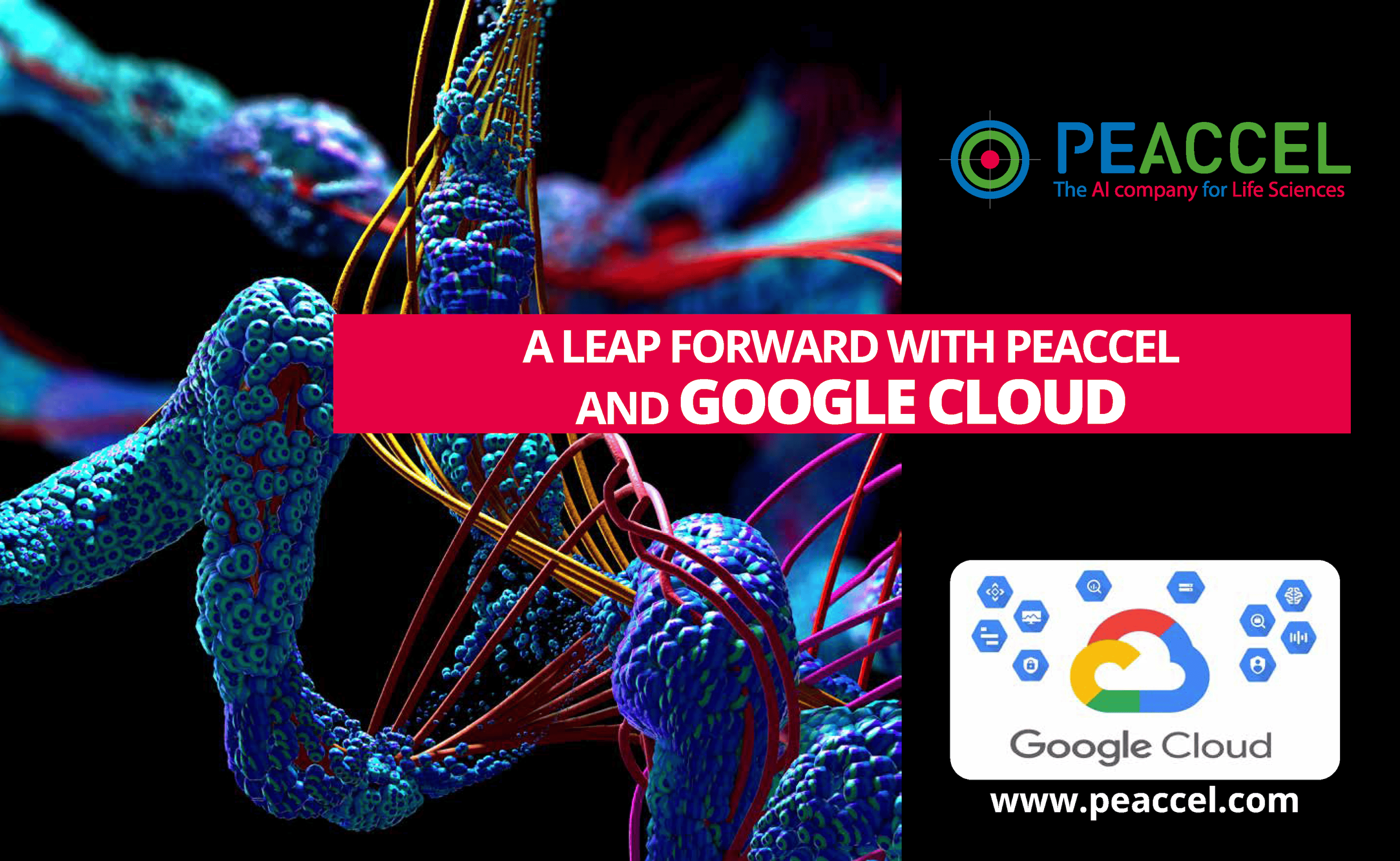 Revolutionizing Biologics Drug Discovery with AI: A Leap Forward with PEACCEL and Google Cloud